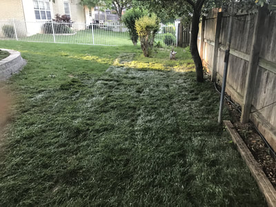 Tulsa Landscape Design
